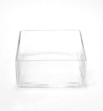 Low Square Glass Vase