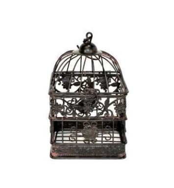 Small Blooming Garden