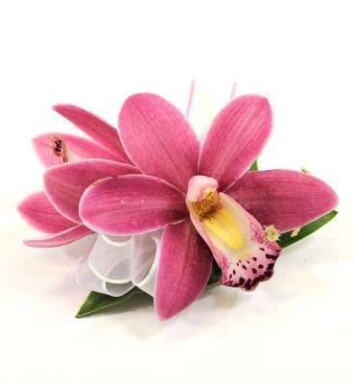 Cymbidium Wrist Corsage