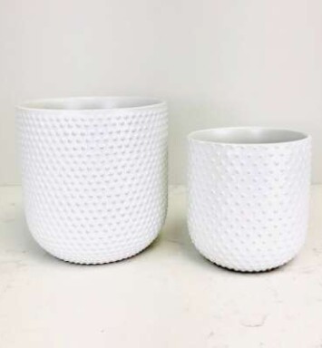 White Dotted Pot